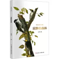 音像寂静的森林高维生