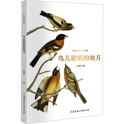 音像鸟儿歌唱的地方高维生