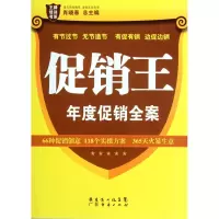 音像王(年度全案)/培训书系肖晓春