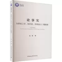 音像论事实 从形而上学、知识论、价值论之三棱镜看阮凯