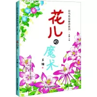 音像花儿的魔术木糖