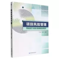 音像项目风险管理丁齐英