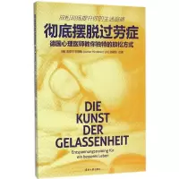 音像摆脱过劳症(德)洛塔尔·辛德勒(Lothar Hinderer),邵威佳 合著