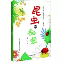 音像昆虫的秘密王如