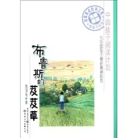 音像布鲁斯的芨芨草张国龙