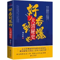 音像好看到爆的大清秘史朝文社 著