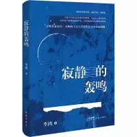 音像寂静的轰鸣李鸿