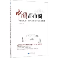 音像中国都市圈(理论机理空间态势与产业协同发展)马燕坤