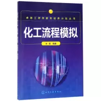 音像化工流程模拟/卓越教育培养计划丛书王君