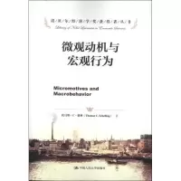 音像微观动机与宏观行为(美)谢林