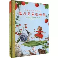 音像草莓贝儿启蒙绘本 魔法草莓在哪里(德)斯特芬妮·达勒