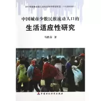 音像中国城市少数民族流动人的生适应研究马胜春