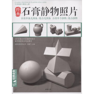 音像经典石膏静物照片杨建飞 主编