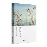 音像缘分的天空李国生