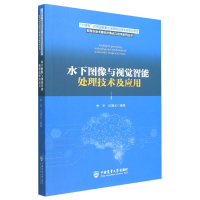 音像水下图像与视觉智能处理技术及应用安冬 位耀光