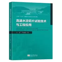 音像高速水流切片试验技术与工程应用王新,严秀俊著