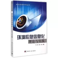 音像环境应急信息化理论与实践/数字环保系列丛书刘锐,姚新主编
