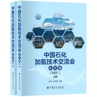 音像中国石化加氢技术交流会集(2021上下)俞仁明,陈尧焕 著