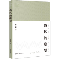 音像湾区的瞻望杨璐临