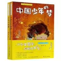 音像董宏猷梦想精品集2册董宏猷