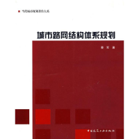 音像城市路网结构体系规划蔡军