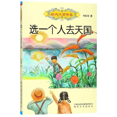 音像选一个人去天国/国内大奖书系李丽萍