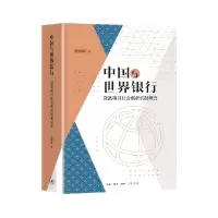 音像中国与世界银行:贷款项目社会创新机制研究沈忻昕