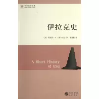 音像伊拉克史(美)塔比特.A.J.阿卜杜拉