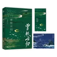 音像曾照云归一只西飞雁