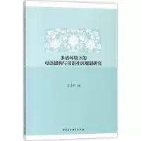 音像多语环境下的母语建构与母语社区规划研究方小兵 著