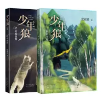 音像少年狼1额仑草原+少年狼2哈敦家族共两册安波舜