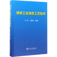 音像钢铁工业绿色工艺技术于勇,王新东 编著