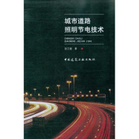 音像城市道路照明节电技术张万奎