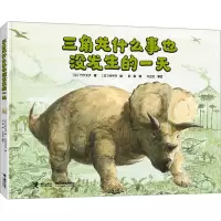 音像三角龙什么事也没发生的(日)竹下文子