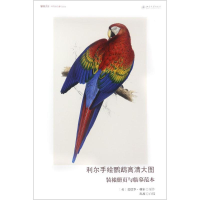 音像利尔手绘鹦鹉高清大图[英]爱德华·利尔