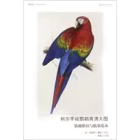 音像利尔手绘鹦鹉高清大图[英]爱德华·利尔