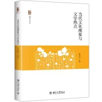音像当代文化现象与文学热点编者:吴秀明