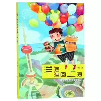 音像洋泡泡回上海/王岚跨国教育探索小说系列王岚
