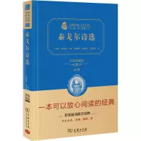 音像泰戈尔诗选 价值典藏版2.0(印)泰戈尔