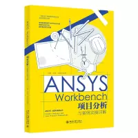 音像ANSYS WORKBENCH项目分析与案例实操详解冯渊,李迪,邹创