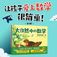 音像大自然中的数学(全4册)(加)莉安·弗拉特
