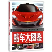 音像酷车大图鉴/中国少儿金典编者:龚勋