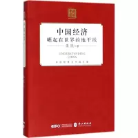音像中国经济朱民 著