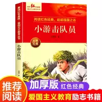 音像小游击队员王愿坚