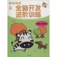 音像全脑开发进阶训练BM动漫工作室 编著