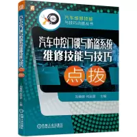 音像汽车中控门锁与防盗系统维修技能与技巧点拨不详