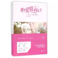音像遇见爱情的利先生(上下原名玻璃鞋)郑媛