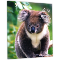 音像考拉/动物小百科(美)雷切尔·哈内尔|译者:魏春予