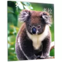 音像考拉/动物小百科(美)雷切尔·哈内尔|译者:魏春予