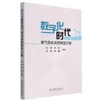 音像数字化时代油气田企业的转型之路中国